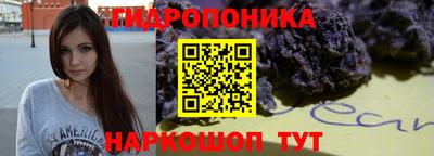 прущие крисы Можга