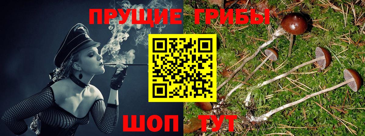 Псилоцибиновые грибы ЛСД  Псилоцибиновые грибы GOLDEN TEACHER  Семёнов  магазин продажи наркотиков  Вход с VPN 