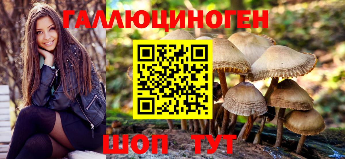 Псилоцибиновые грибы Cubensis Семёнов